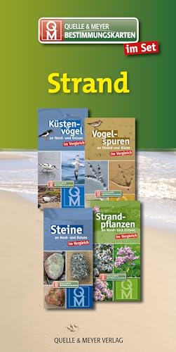 Bestimmungskarten-Set „Strand“ (Quelle & Meyer Bestimmungskarten)