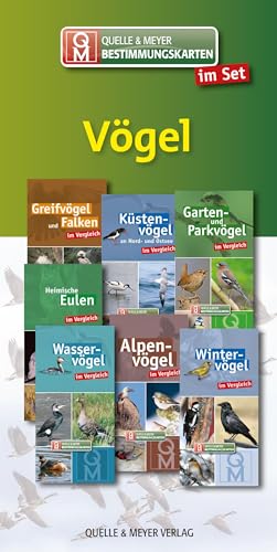 Bestimmungskarten-Set „Vögel“ (Quelle & Meyer Bestimmungskarten) von Quelle + Meyer