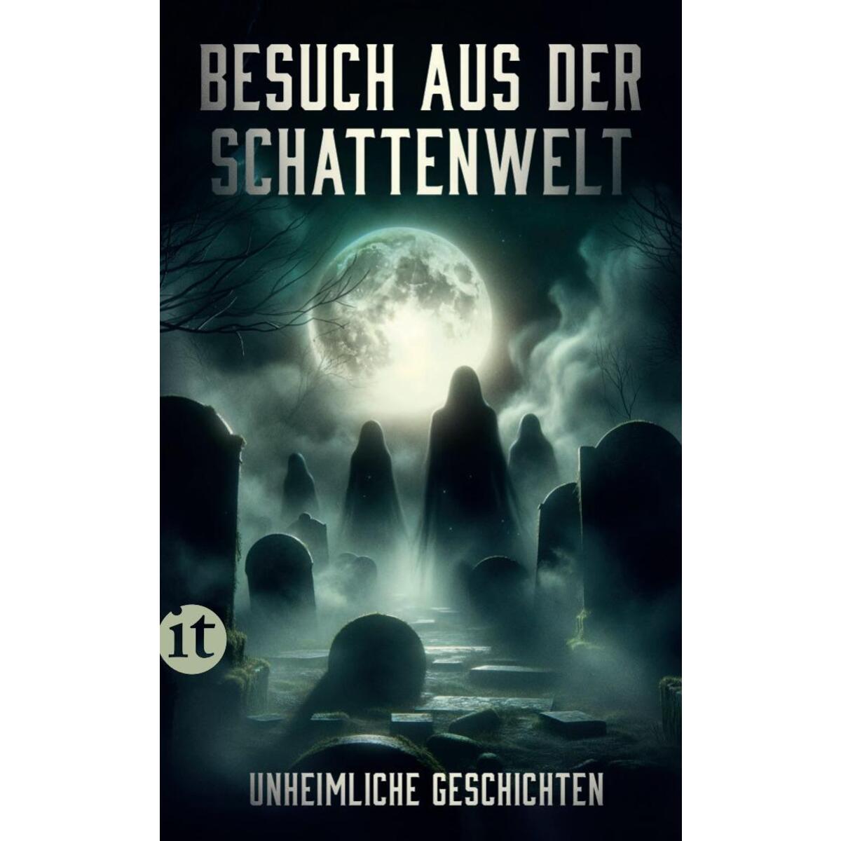 Besuch aus der Schattenwelt von Insel Verlag GmbH