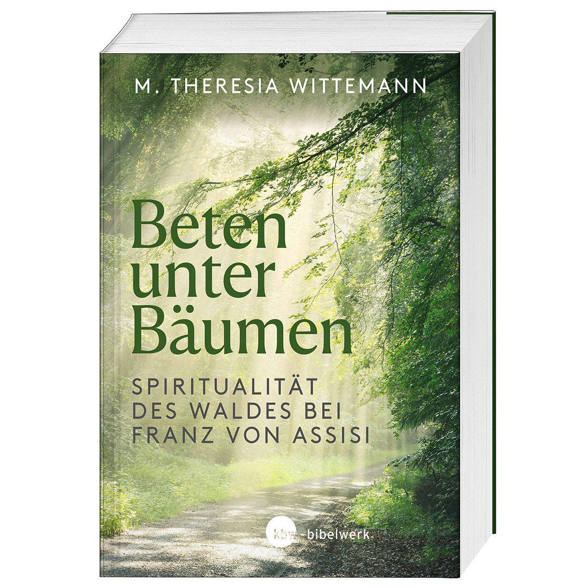 Beten unter Bäumen von Katholisches Bibelwerk