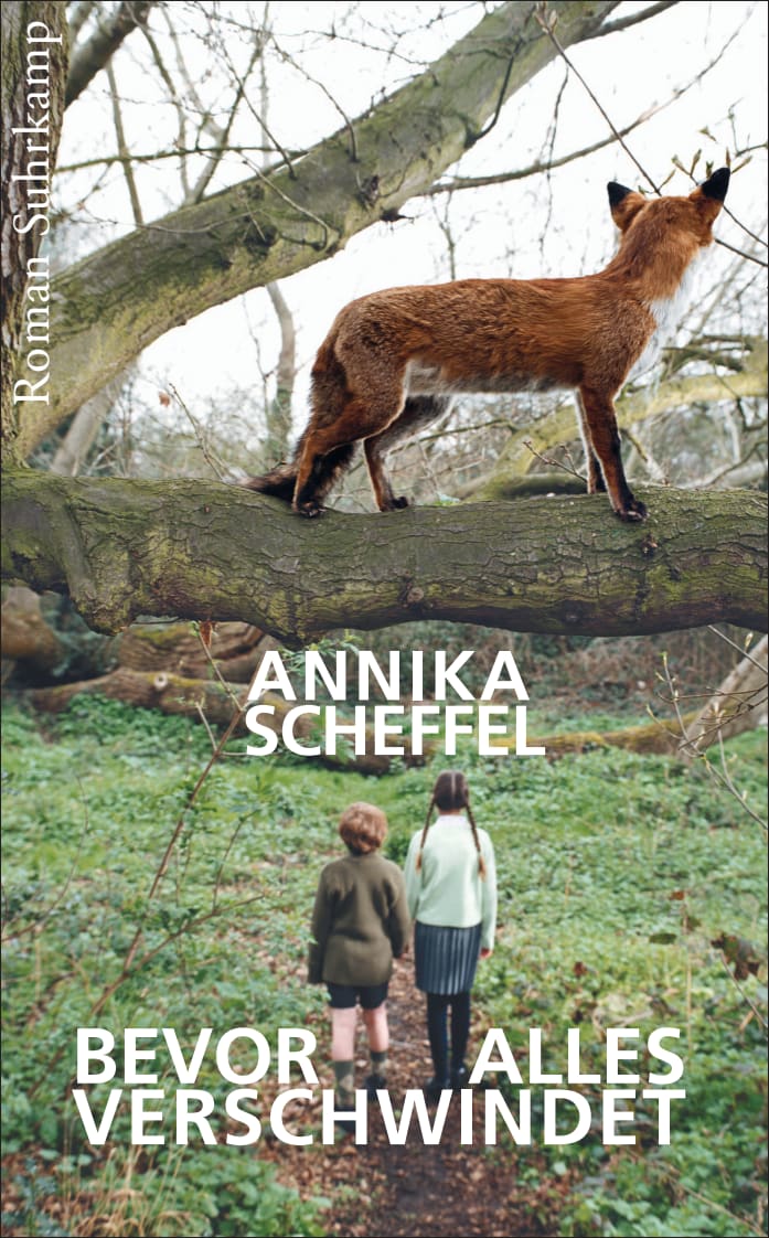 Bevor alles verschwindet von Suhrkamp Verlag