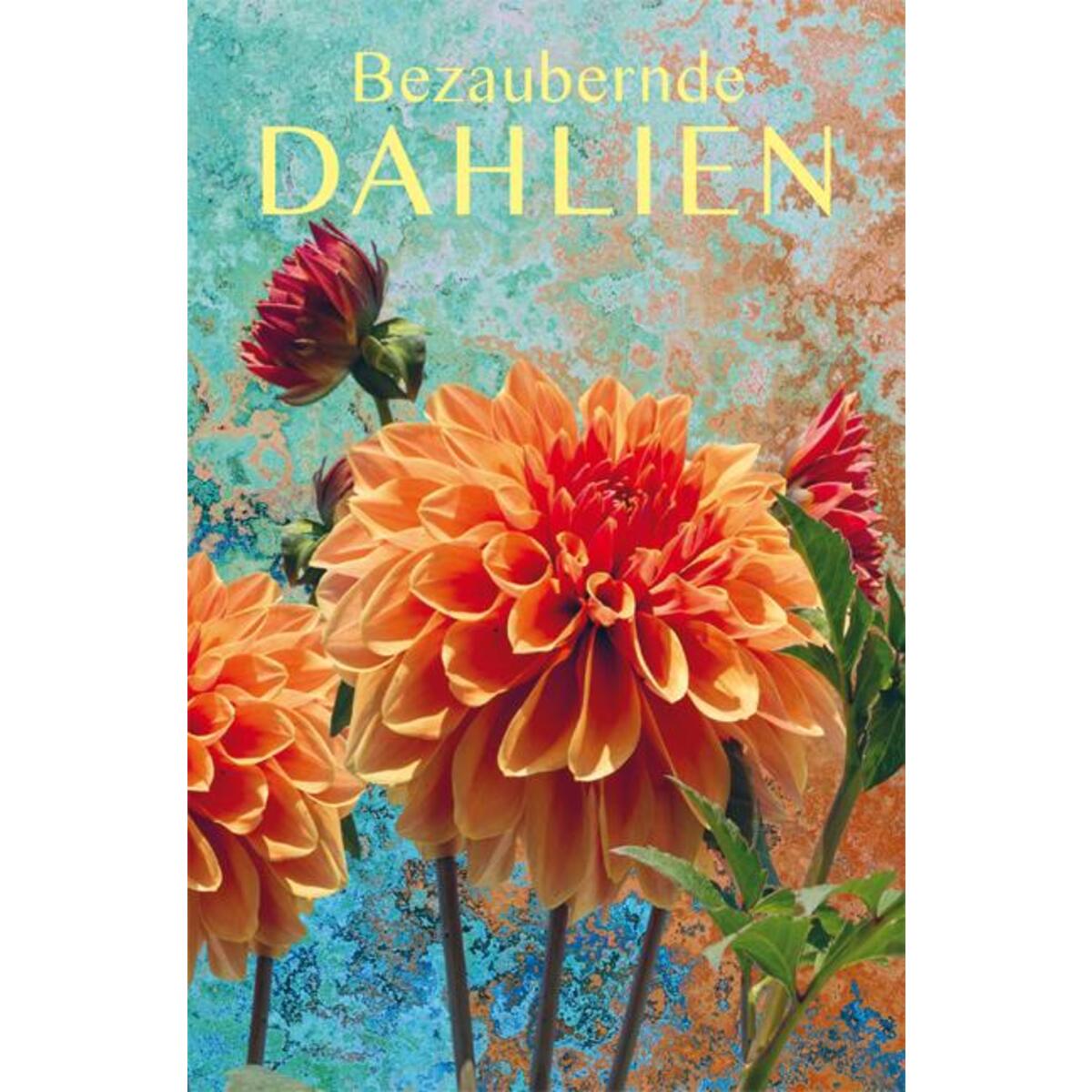Bezaubernde Dahlien von Buchverlag für die Frau