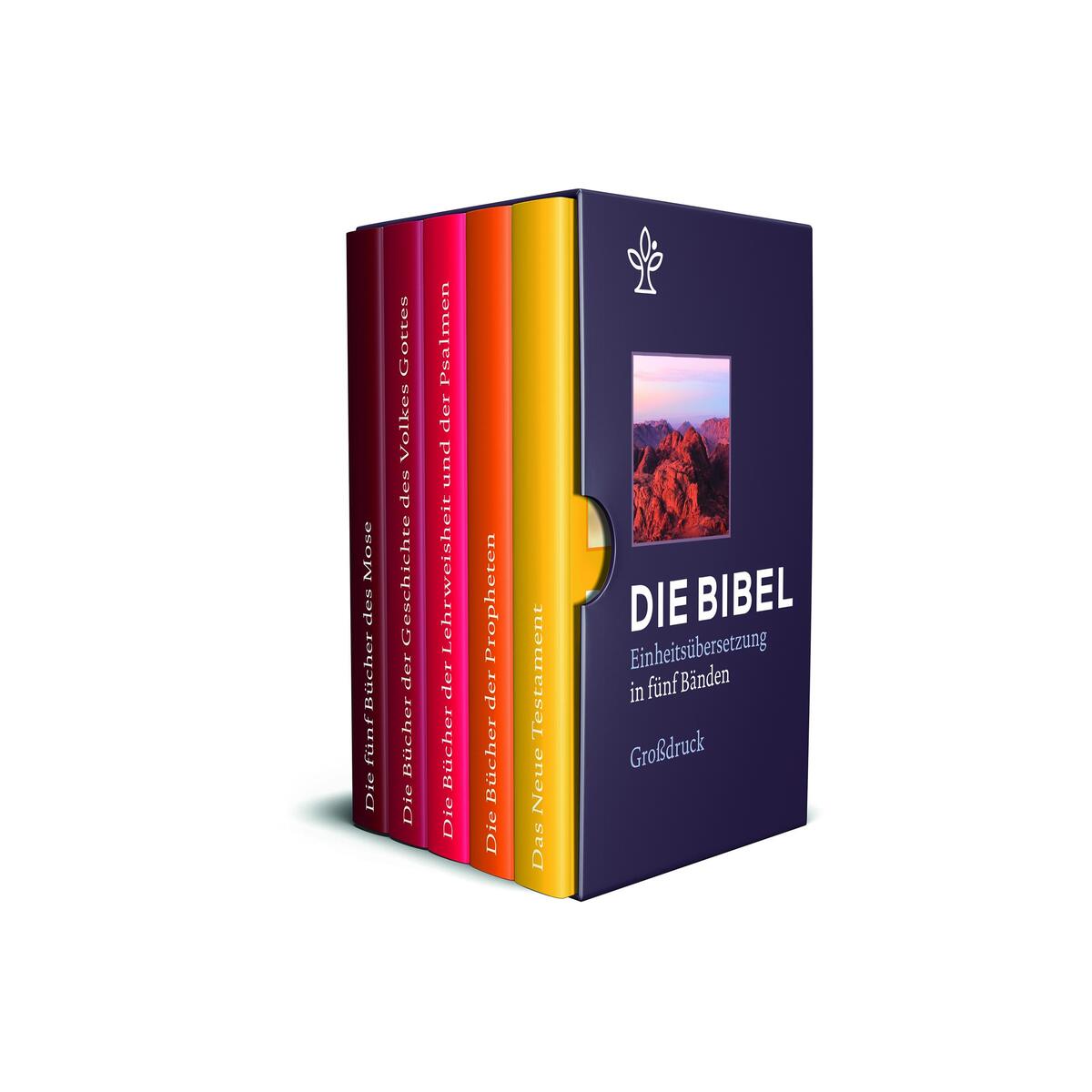Bibel in 5 Einzelbüchern in Geschenkkassette, Großdruck Bibel in 5 Einzelbüchern in Geschenkkassette, Großdruck von katholisches bibelwe