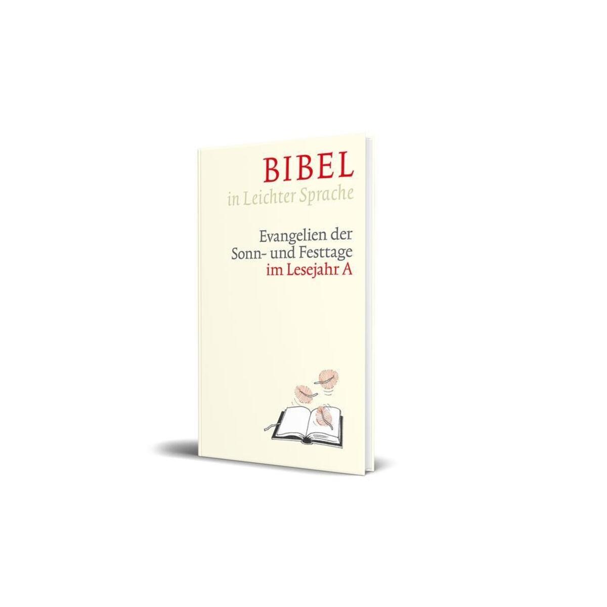 Bibel in leichter Sprache von Katholisches Bibelwerk