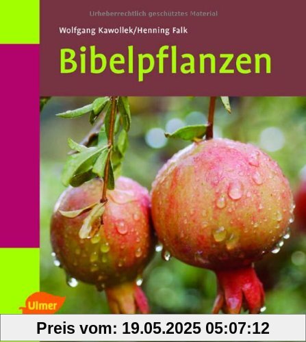 Bibelpflanzen kennen und kultivieren