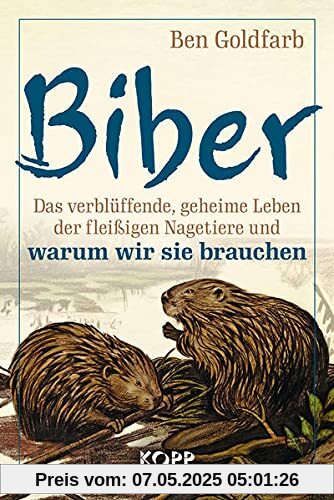 Biber: Das verblüffende, geheime Leben der fleißigen Nagetiere und warum wir sie brauchen