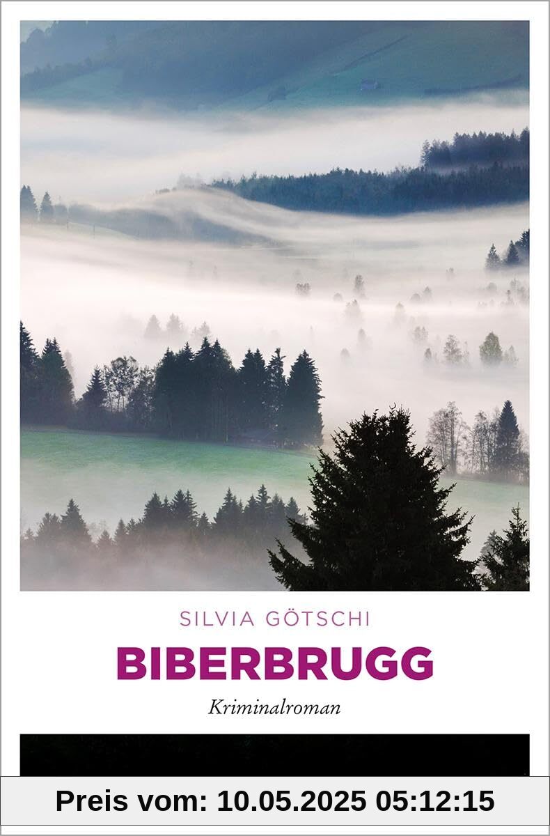 Biberbrugg: Kriminalroman (Valérie Lehmann)