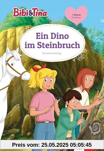 Bibi & Tina Ein Dino im Steinbruch: Erstlesen 1. Klasse, ab 6 Jahren (Bibi und Tina)