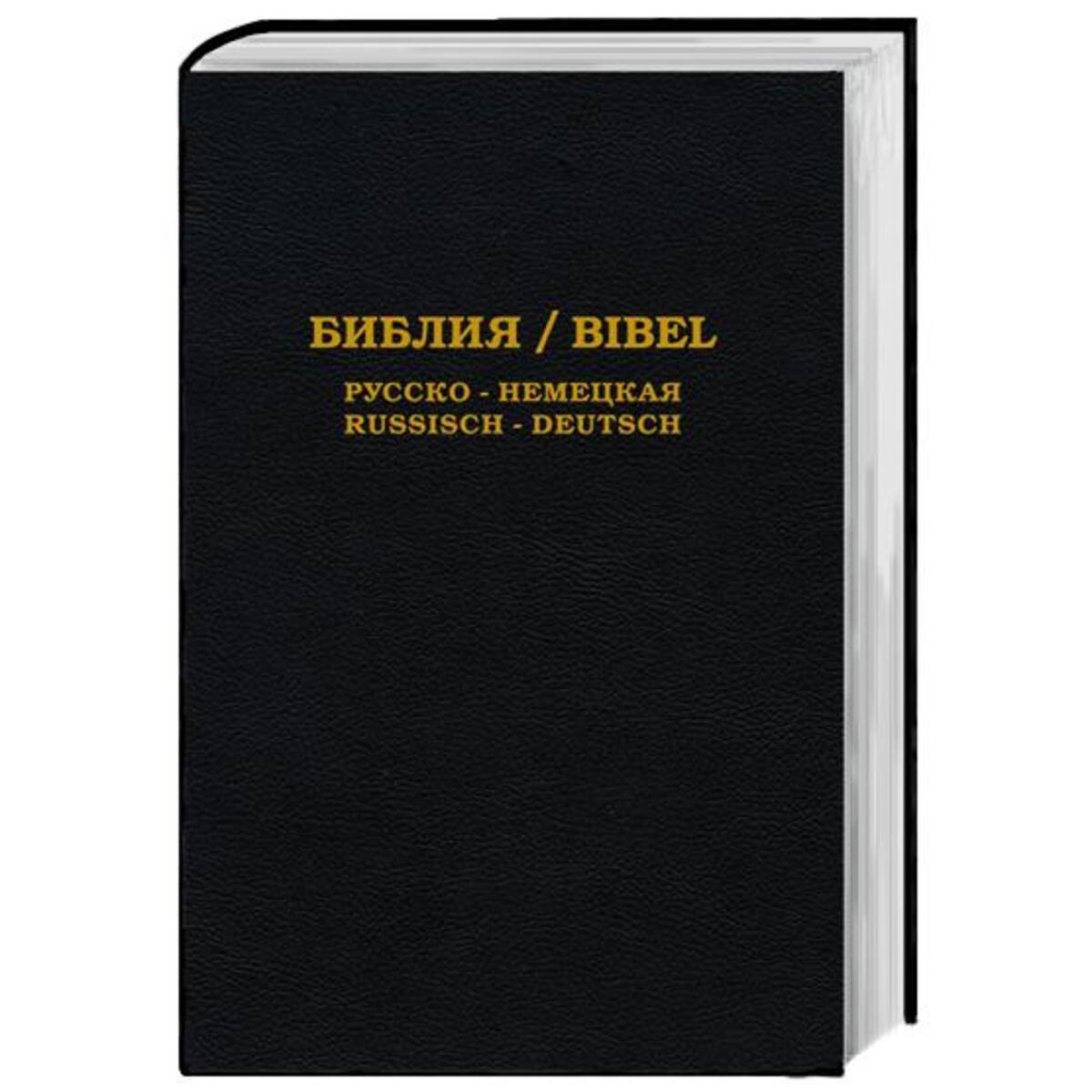 Biblija / Bibel Biblija / Bibel von Lichtzeichen Verlag