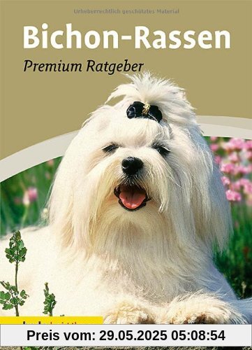 Bichon-Rassen: Premium-Ratgeber. Malteser, Havaneser, Bichon Frisé, Bologneser, Löwchen, Bolonka zwetna, Coton de Tuléar