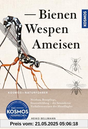 Bienen, Wespen, Ameisen: Insekten Mitteleuropas: Nestbau, Brutpflege, Staatenbildung - die besonderen Verhaltensweisen der Hautflügler Bienen, Wespen, Ameisen: Insekten Mitteleuropas: Nestbau, Brutpflege, Staatenbildung - die besonderen Verhaltensweisen der Hautflügler