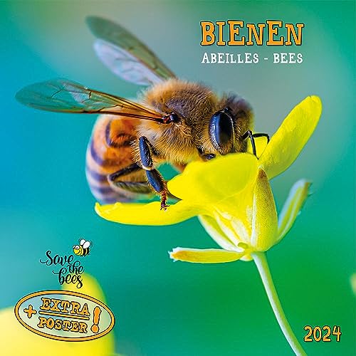 Bienen 2024: Kalender 2024 (Artwork Edition) von Tushita PaperArt