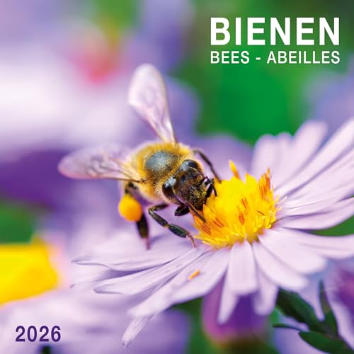 Bienen 2026: Kalender 2026 (Artwork Edition) von Tushita PaperArt