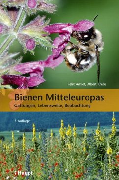 Bienen Mitteleuropas von Haupt