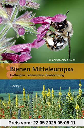 Bienen Mitteleuropas: Gattungen, Lebensweise, Beobachtung