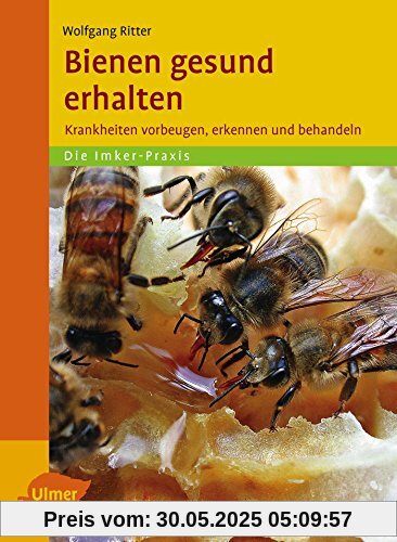 Bienen gesund erhalten: Krankheiten vorbeugen, erkennen und behandeln