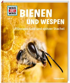 Bienen und Wespen / Was ist was Bd.19 von Tessloff / Tessloff Verlag Ragnar Tessloff GmbH & Co. KG