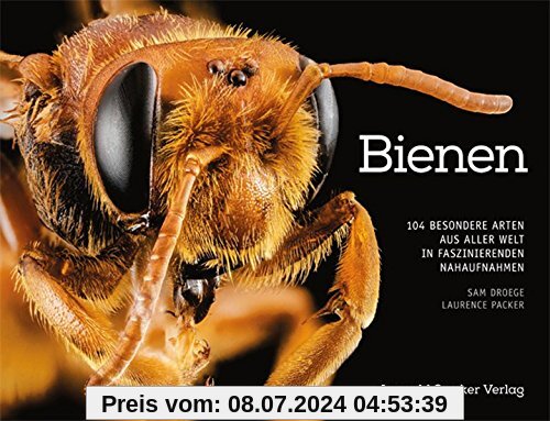 Bienen: 104 besondere Arten aus aller Welt in faszinierenden Nahaufnahmen