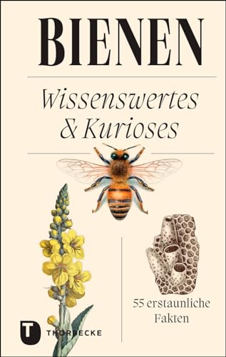 Bienen: Wissenswertes & Kurioses – 55 erstaunliche Fakten