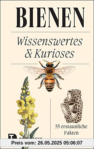 Bienen: Wissenswertes & Kurioses – 55 erstaunliche Fakten