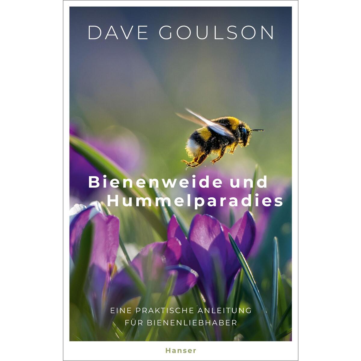 Bienenweide und Hummelparadies von Carl Hanser Verlag