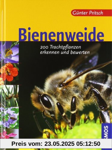 Bienenweide: 200 Trachtpflanzen erkennen und bewerten