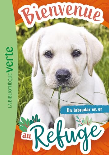 Bienvenue au refuge 08 - Un labrador en or von HACHETTE JEUN.