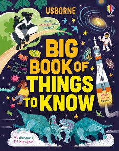 Big Book of Things to Know von Usborne Publishing