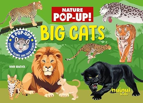 Big Cats (Nature pop-up) von nuinui