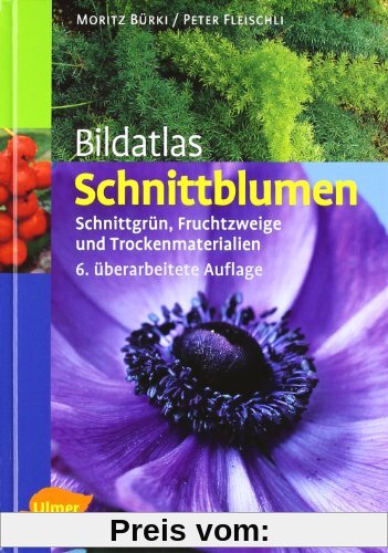 Bildatlas Schnittblumen: Schnittgrün, Fruchtzweige und Trockenmaterialien