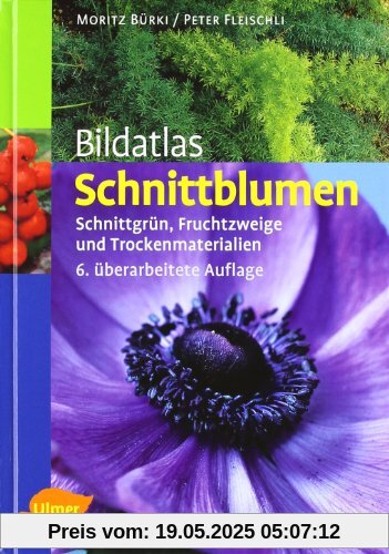 Bildatlas Schnittblumen: Schnittgrün, Fruchtzweige und Trockenmaterialien