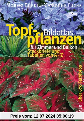 Bildatlas Topfpflanzen für Zimmer und Balkon: Steckbriefe und Tabellen von A - Z