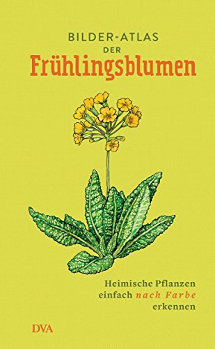 Bilder-Atlas der Frühlingsblumen: Heimische Pflanzen einfach nach Farbe erkennen Bilder-Atlas der Frühlingsblumen: Heimische Pflanzen einfach nach Farbe erkennen