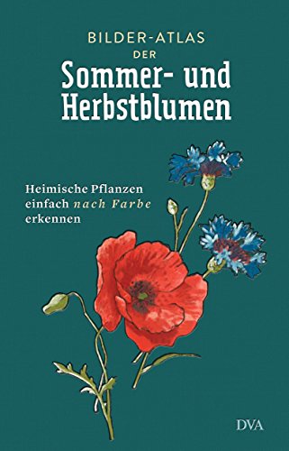 Bilder-Atlas der Sommer- und Herbstblumen: Heimische Pflanzen einfach nach Farbe erkennen