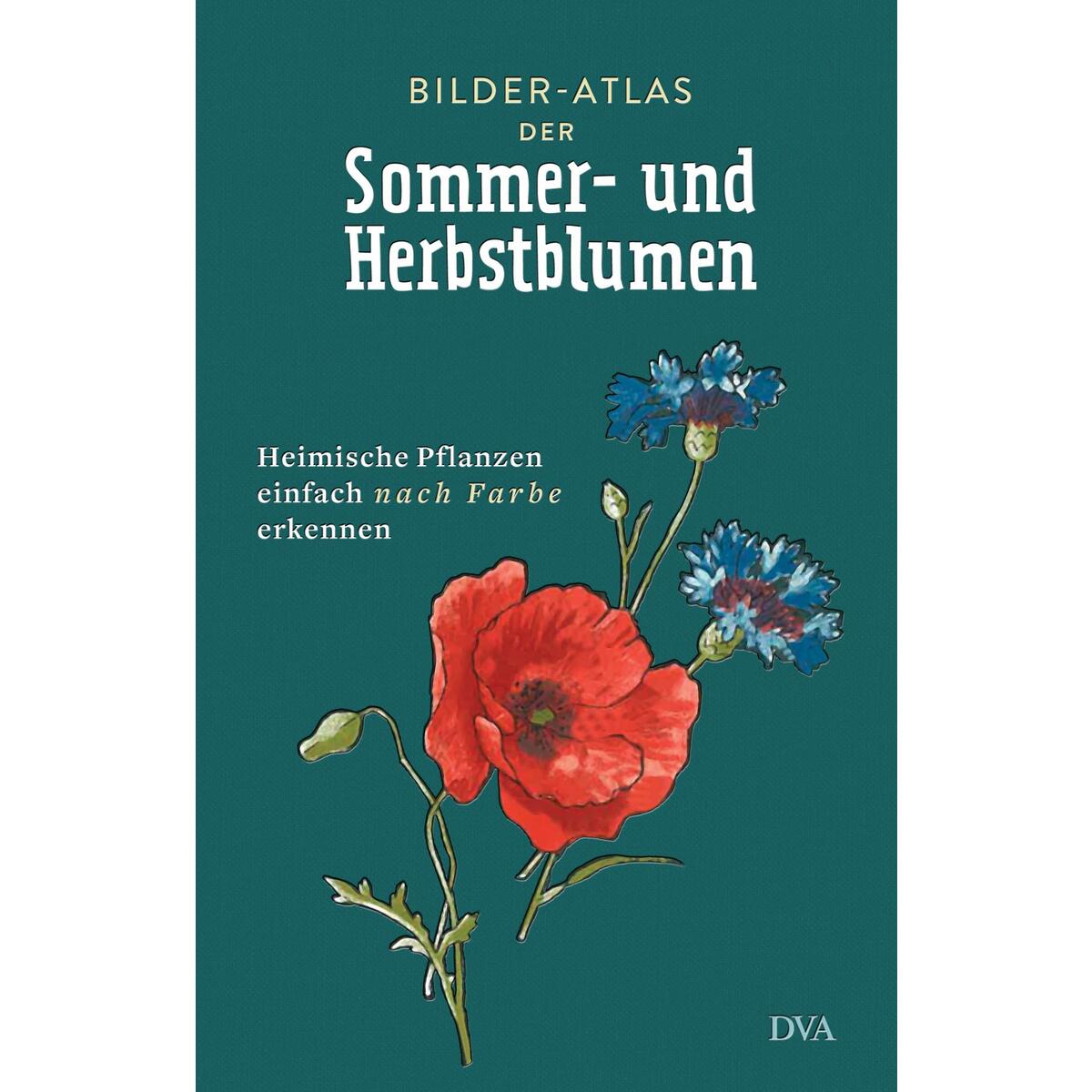 Bilder-Atlas der Sommer- und Herbstblumen von DVA Dt.Verlags-Anstalt