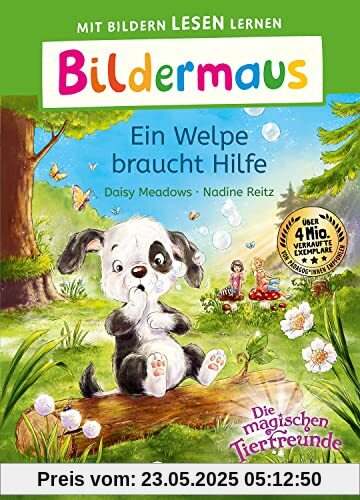 Bildermaus - Ein Welpe braucht Hilfe: Mit Bildern lesen lernen - Ideal für die Vorschule und Leseanfänger ab 5 Jahren - Mit Leselernschrift ABeZeh