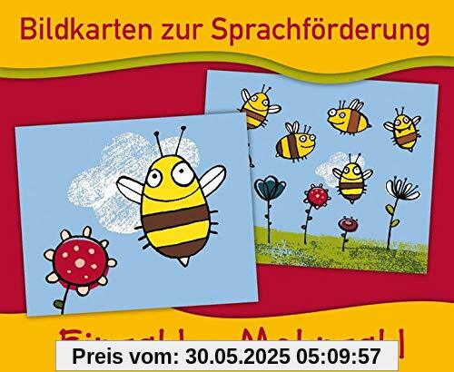 Bildkarten zur Sprachförderung: EINZAHL - MEHRZAHL - Neuauflage
