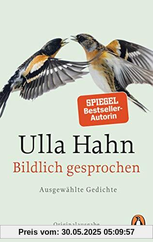 Bildlich gesprochen: Ausgewählte Gedichte
