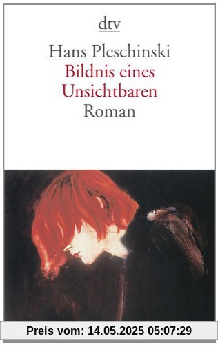 Bildnis eines Unsichtbaren: Roman