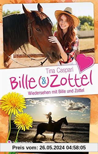 Bille und Zottel - Wiedersehen mit Bille & Zottel (HIERARCHIETITEL, Band 7)
