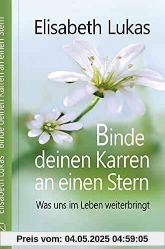 Binde deinen Karren an einen Stern: Was uns im Leben weiterbringt (LebensWert)