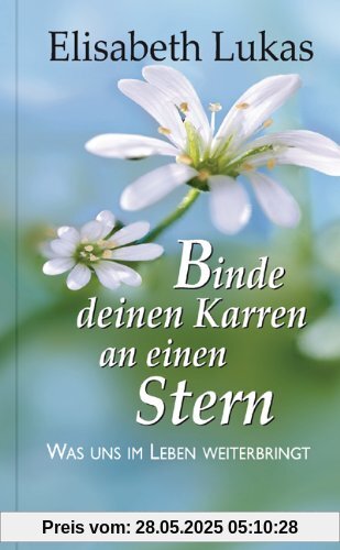 Binde deinen Karren an einen Stern: Was uns im Leben weiterbringt Binde deinen Karren an einen Stern: Was uns im Leben weiterbringt