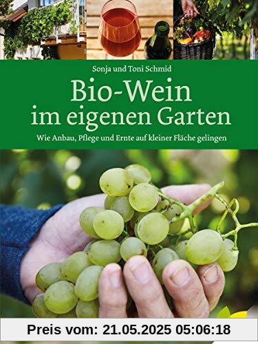 Bio-Wein im eigenen Garten: Wie Anbau, Pflege und Ernte auf kleiner Fläche gelingen