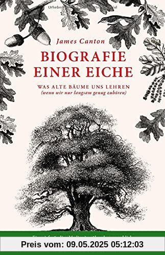 Biografie einer Eiche