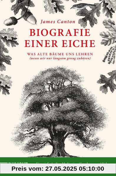 Biografie einer Eiche: Was alte Bäume uns lehren (wenn wir nur langsam genug zuhören)