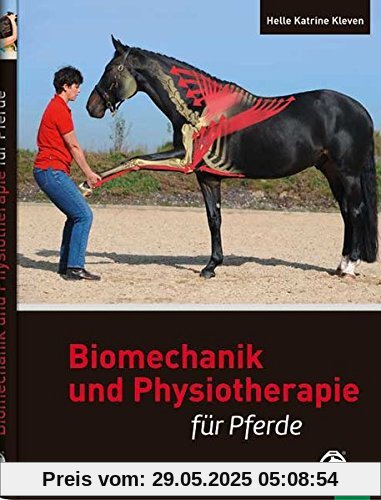 Biomechanik und Physiotherapie für Pferde