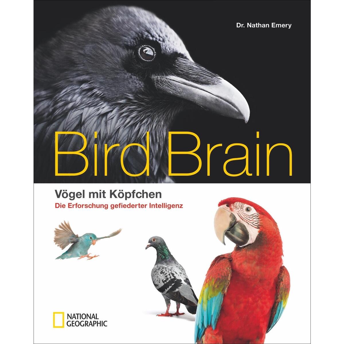 Bird Brain Bird Brain von National Geographic