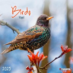 Birds 2025 von Tushita PaperArt