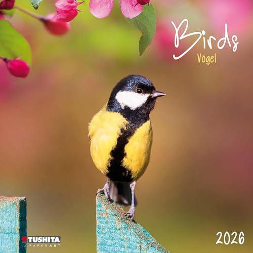 Birds 2026: Kalender 2026 (Wonderful World) von Tushita PaperArt