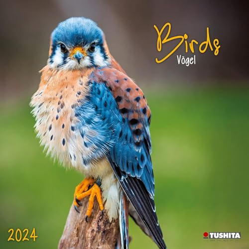 Birds Vogel 2024 von Tushita PaperArt